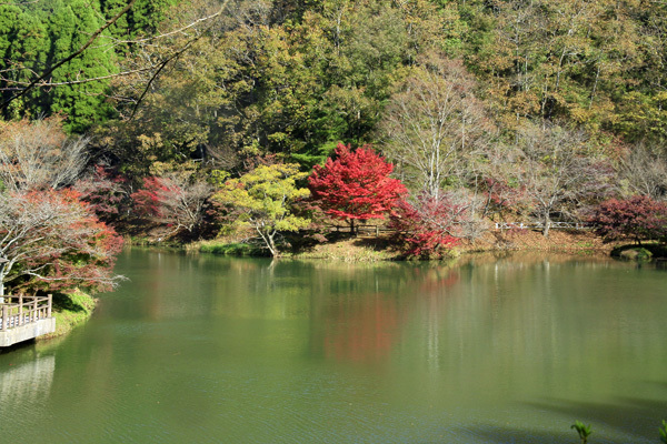 b0014607_19263064.jpg