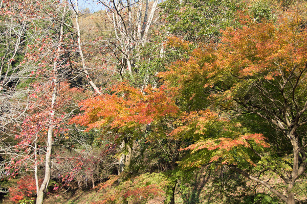 b0014607_19321437.jpg