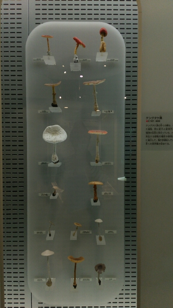 c0016208_00035043.jpg