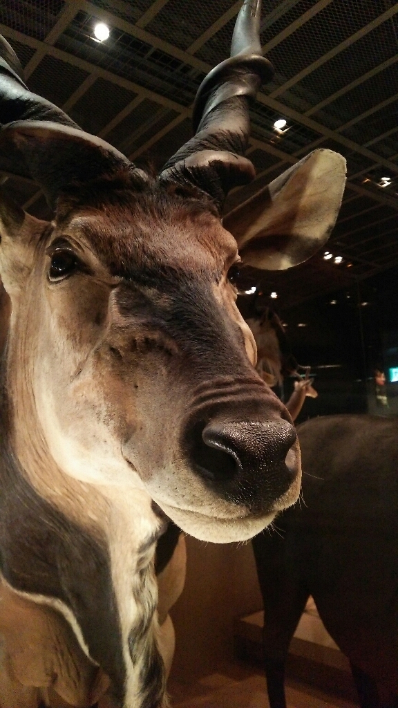c0016208_00035446.jpg