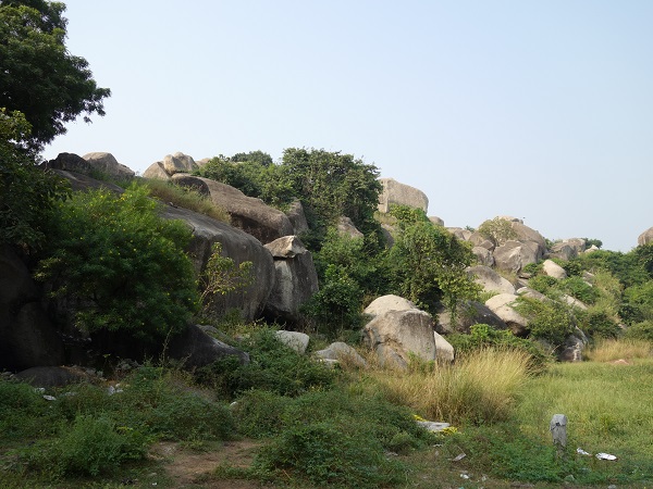 インド最初の石窟寺院バラーバル_d0360509_11594953.jpg