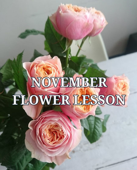 11月レッスンスケジュールLesson Schedule-Nov_f0134809_01493191.jpg