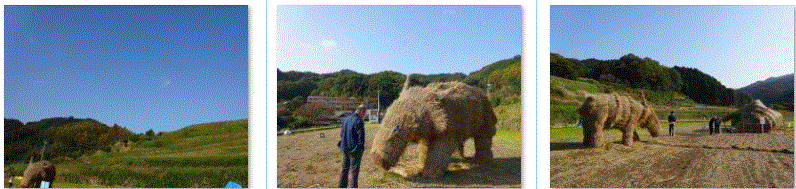 f0231709_00195490.gif