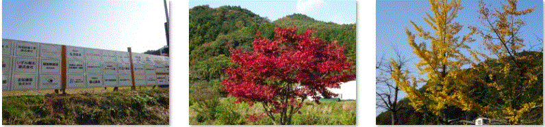 f0231709_00201281.gif
