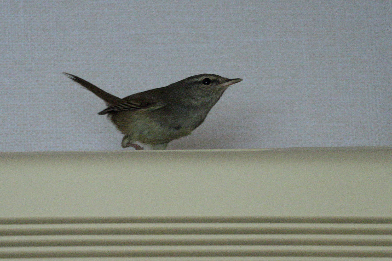 f0349409_16584345.jpg