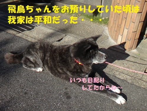 f0121712_09201404.jpg
