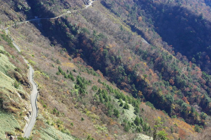 d0341514_22331567.jpg