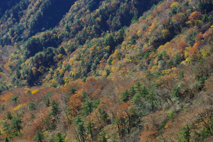 d0341514_22373400.jpg