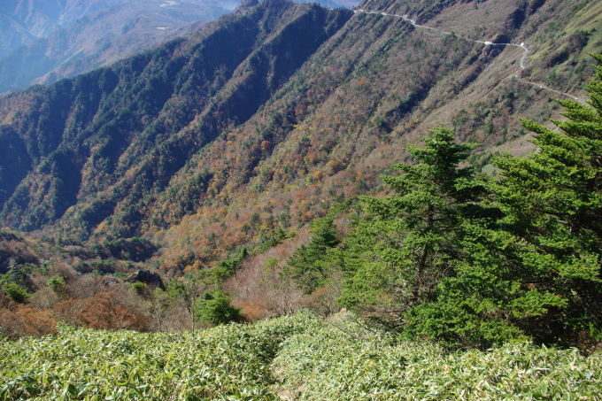d0341514_22432041.jpg
