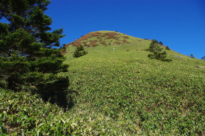 d0341514_22525808.jpg