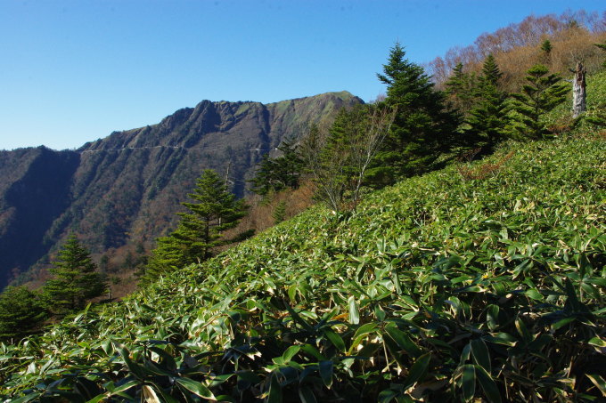 d0341514_23004733.jpg