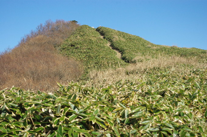 d0341514_23081468.jpg