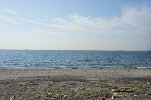 【海の見えるレストラン】_f0215714_1522847.jpg