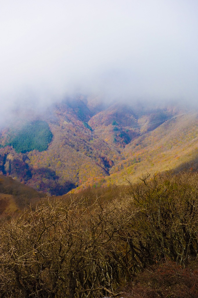 a0256923_20223950.jpg