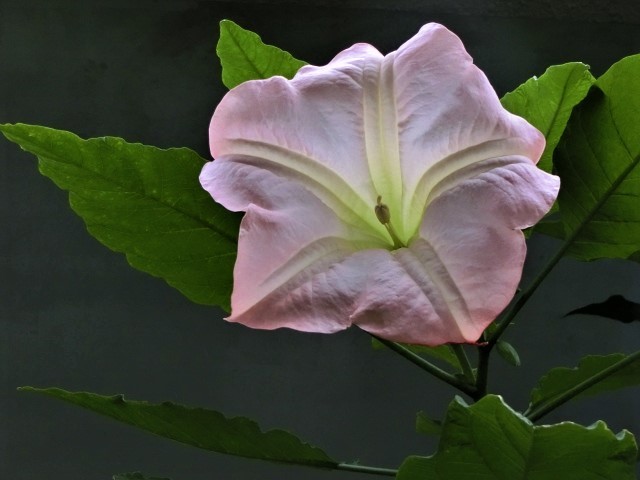 f0354923_00392730.jpg