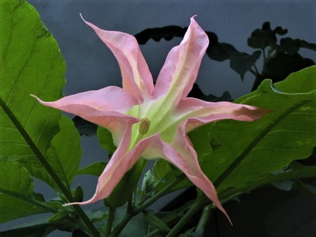 f0354923_00414872.jpg