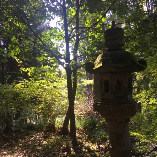 a0118928_11302468.jpeg