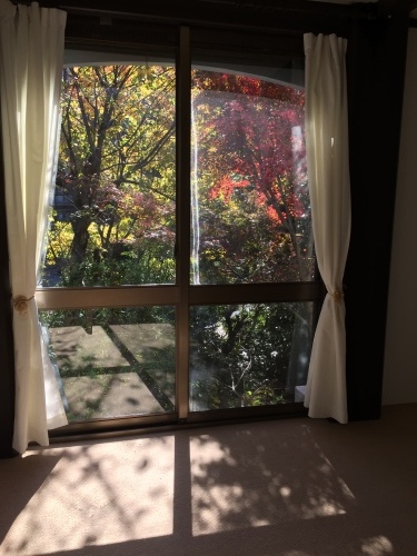 a0118928_11361224.jpeg