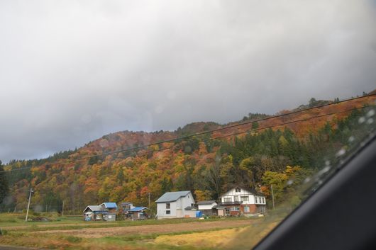 雨降りだったけれど坑道に入っていたから_c0162128_07595379.jpg