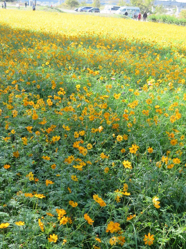 d0352628_17201549.jpg
