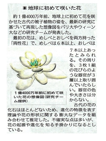 地球上に初めて咲いた花 : 自然とともに生きる
