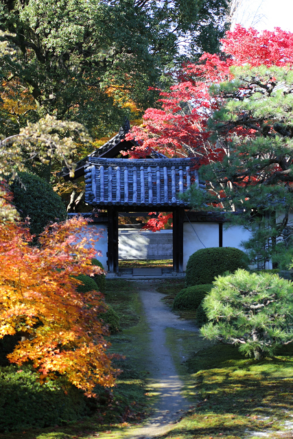 紅葉の醍醐 －随心院－ _b0169330_22331255.jpg