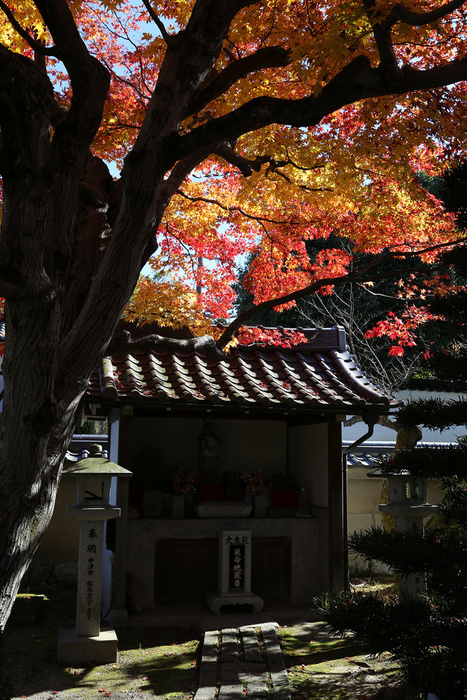 紅葉の醍醐 －随心院－ _b0169330_22594445.jpg