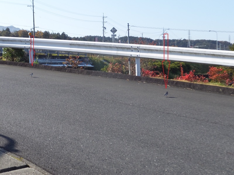地産地消と電気自動車_f0076731_19572426.jpg