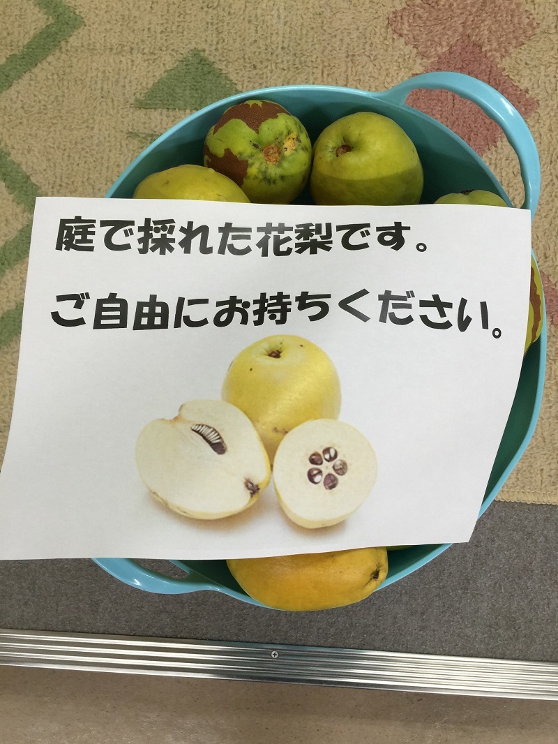 地産地消と電気自動車_f0076731_20045694.jpg