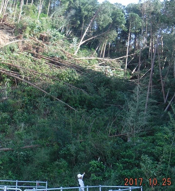 a0051539_22210932.png
