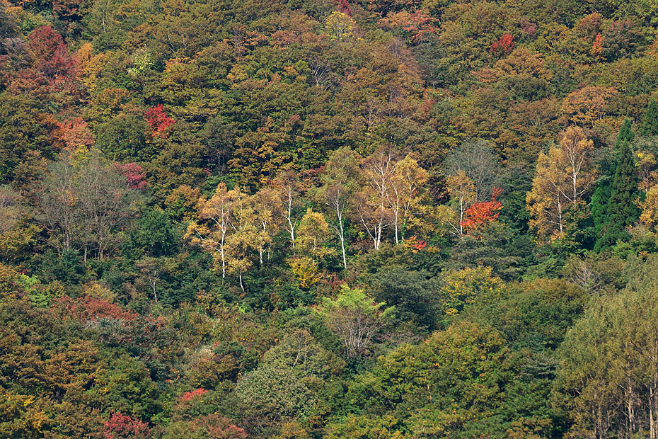 c0067040_23160660.jpg
