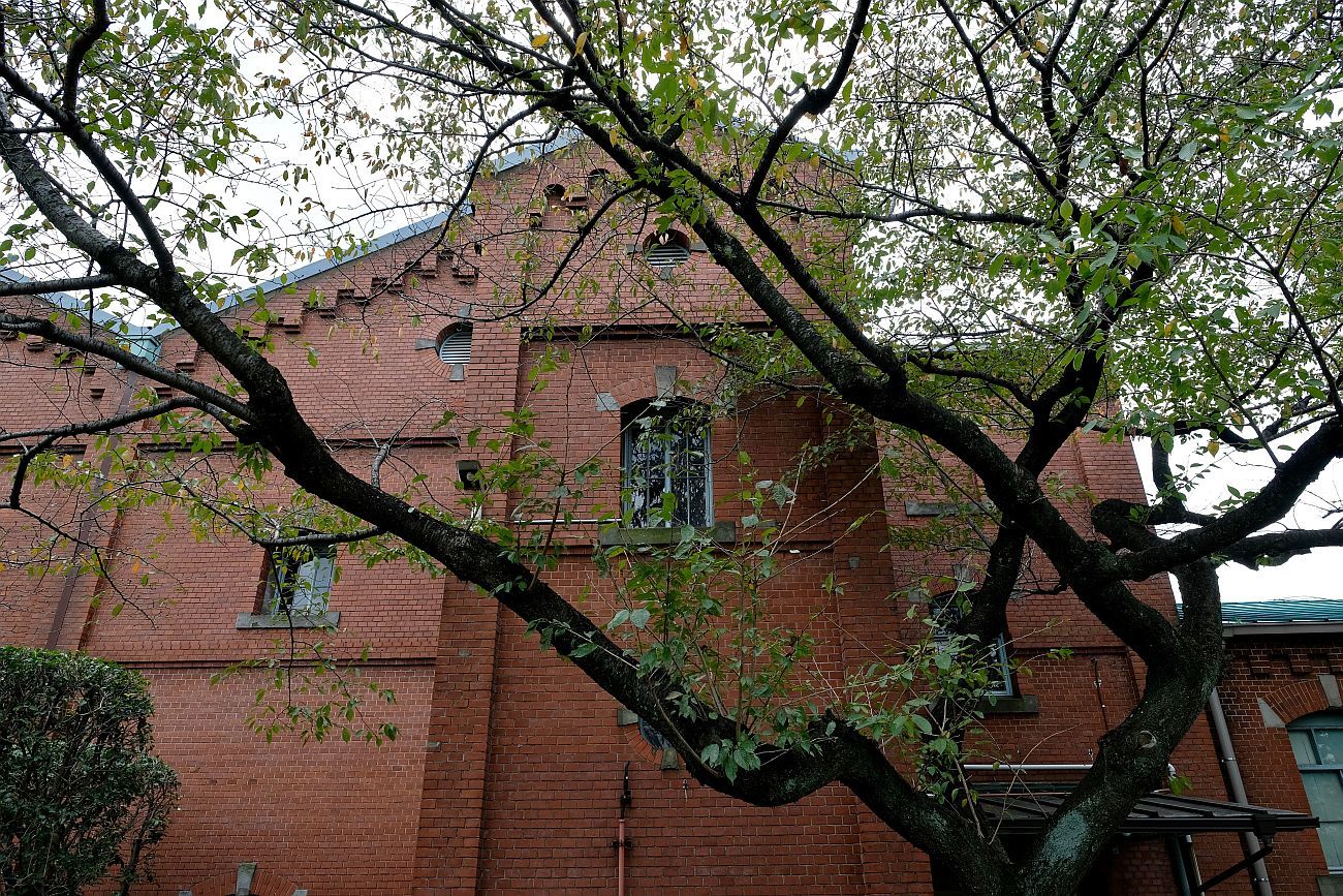 b0212342_19313155.jpg