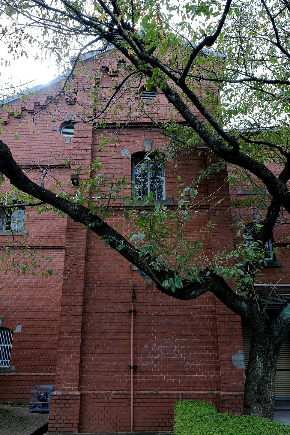 b0212342_19313660.jpg
