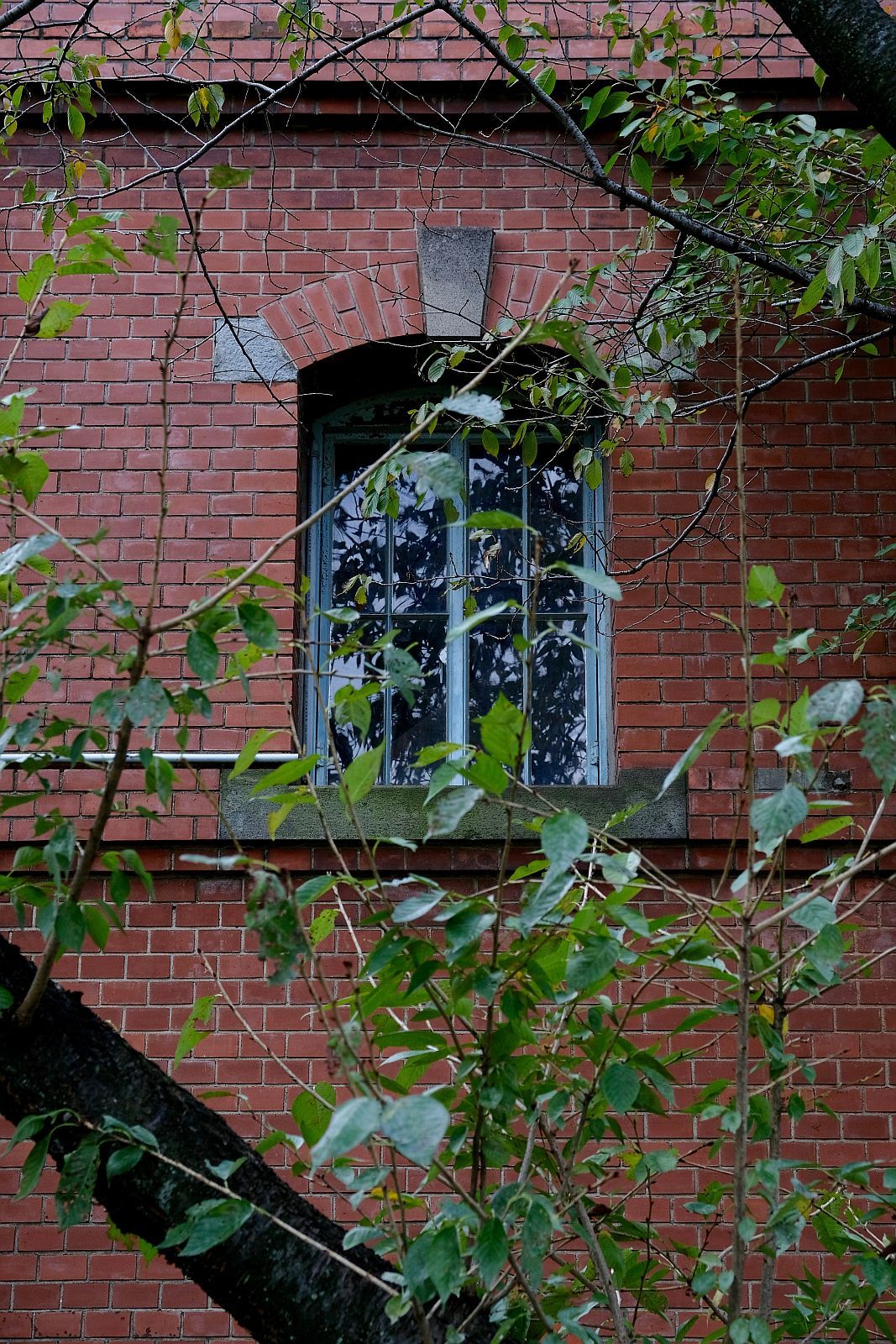 b0212342_19314052.jpg