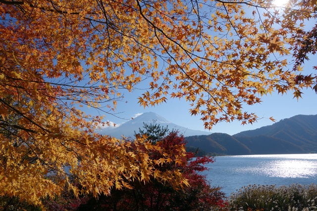 b0363243_16231566.jpg