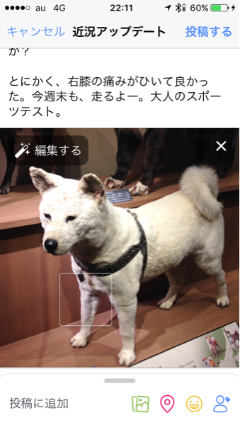 科博のヒーリングパワー、すげーな_c0060143_22144503.jpg