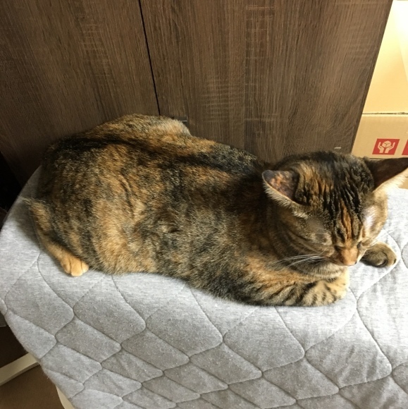 f0372445_07070465.jpeg