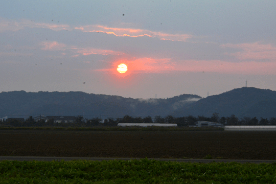 c0093046_15032635.gif