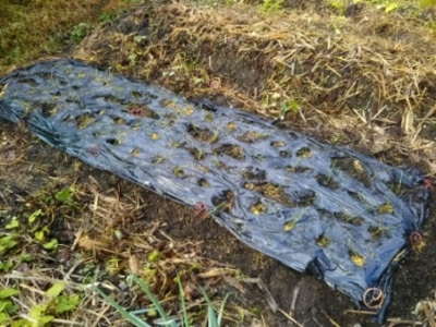 c0330749_08303782.jpg