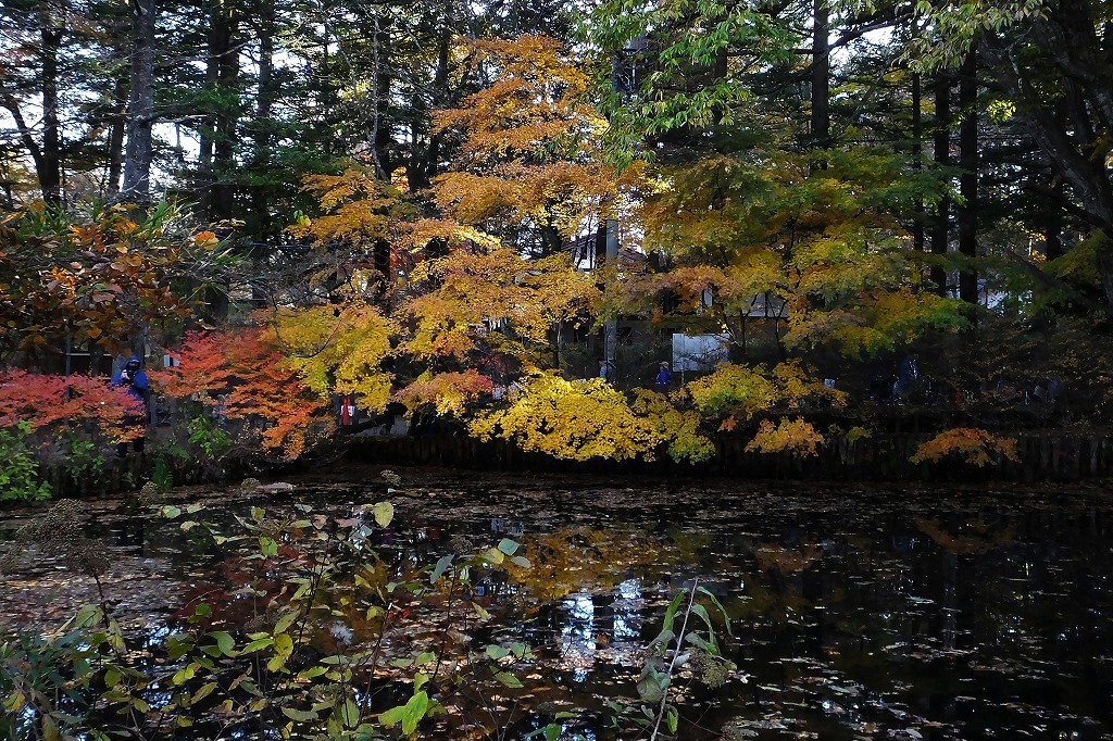 b0236251_10341459.jpg