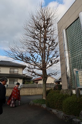 f0151251_14102751.jpg