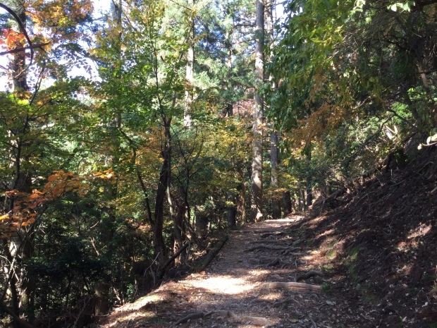 c0073152_16360380.jpg