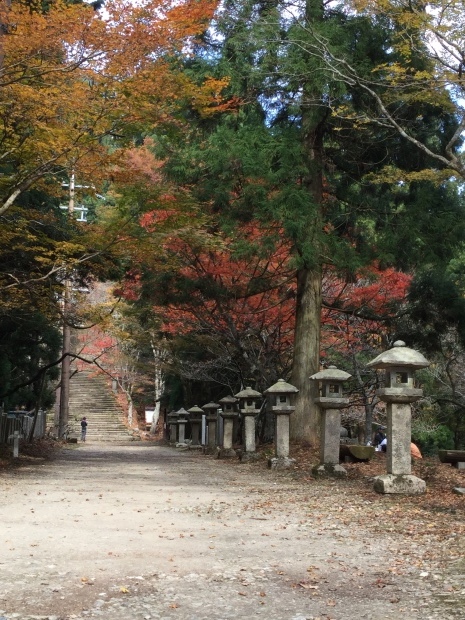 c0073152_16450604.jpg