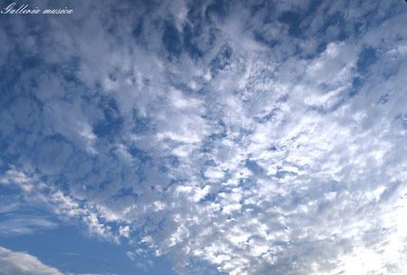 f0351853_02575288.jpg