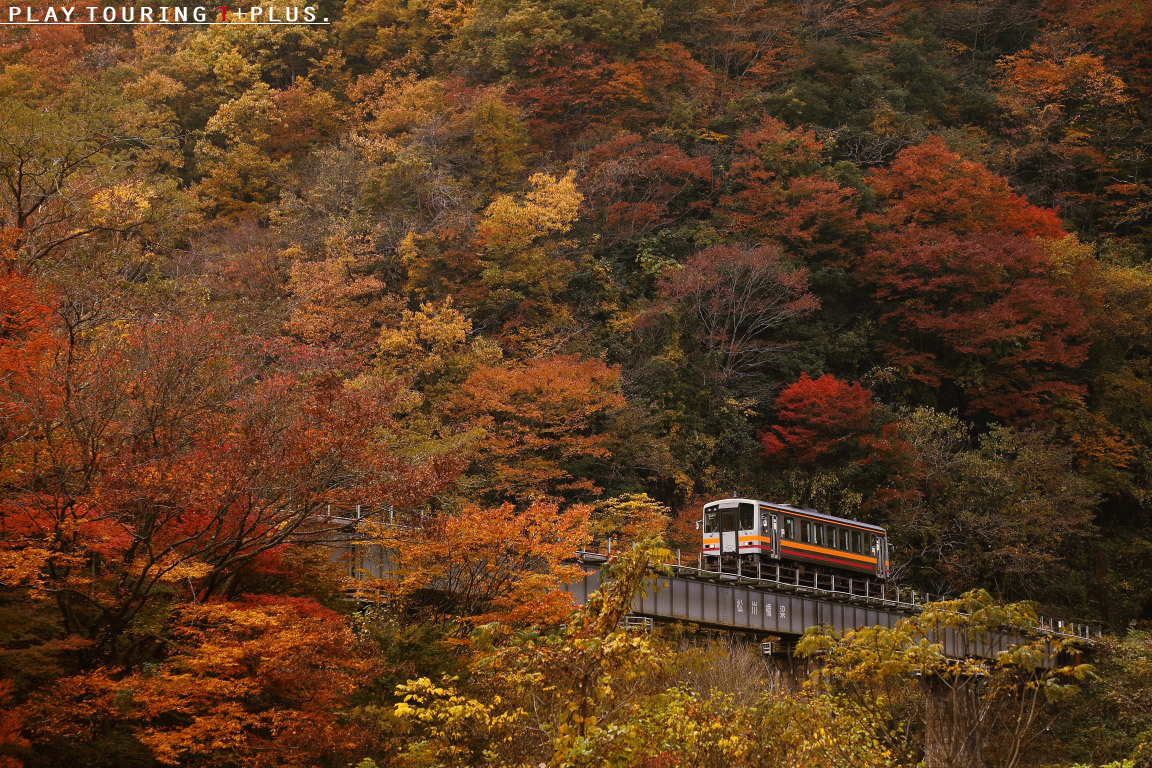 燃えるような旅路_d0155457_22121140.jpg