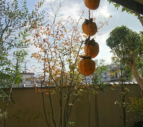 b0346961_16365660.jpg