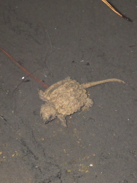 c0105569_00525407.jpg