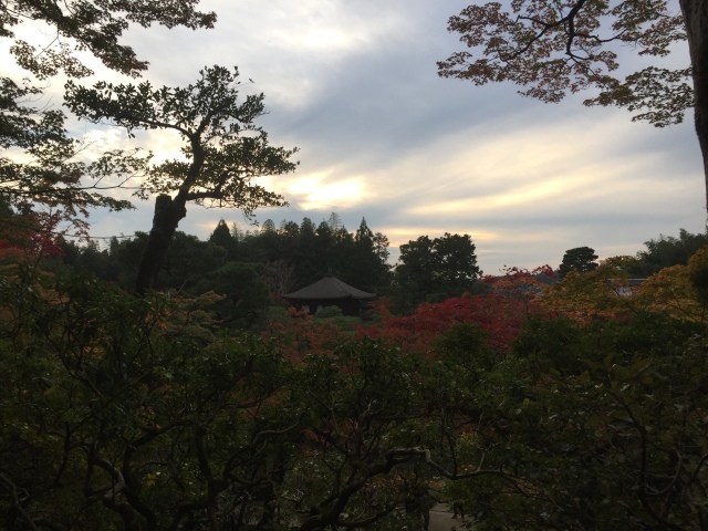 大文字山に登って銀閣寺に御朱印貰いに行こうぜ！の旅 ③_e0268075_09502495.jpg