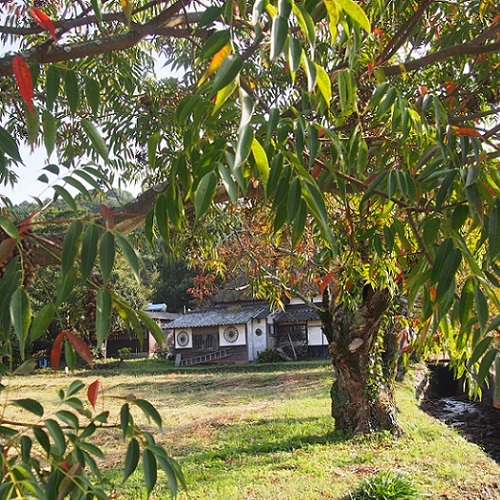f0101679_22513536.jpg