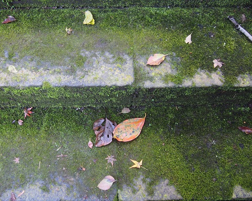 f0101679_22534946.jpg